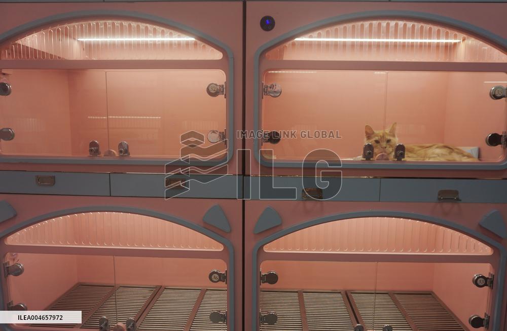 Hangzhou Xiaoshan International Pet Terminal