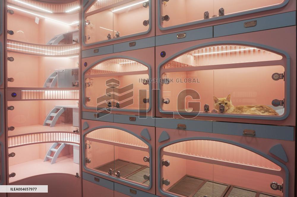 Hangzhou Xiaoshan International Pet Terminal