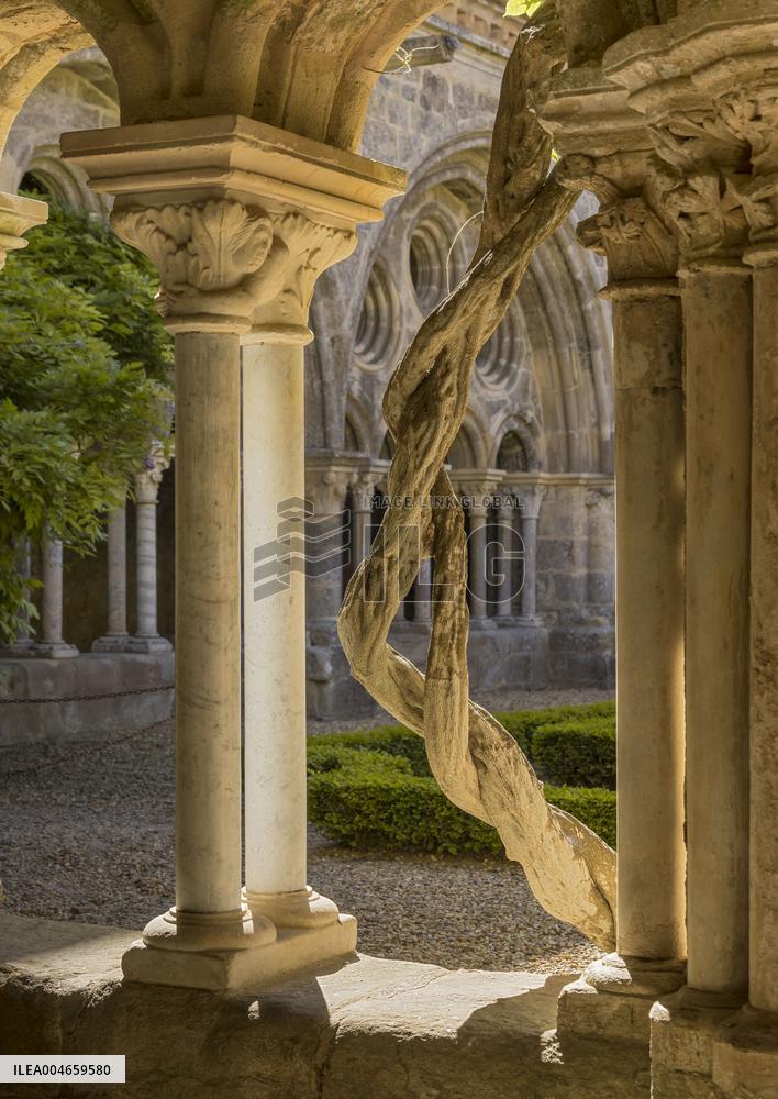 Illustration - Pays Cathare