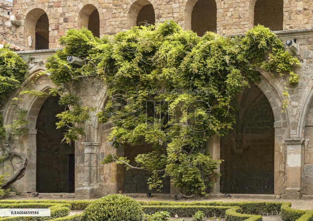 Illustration - Pays Cathare