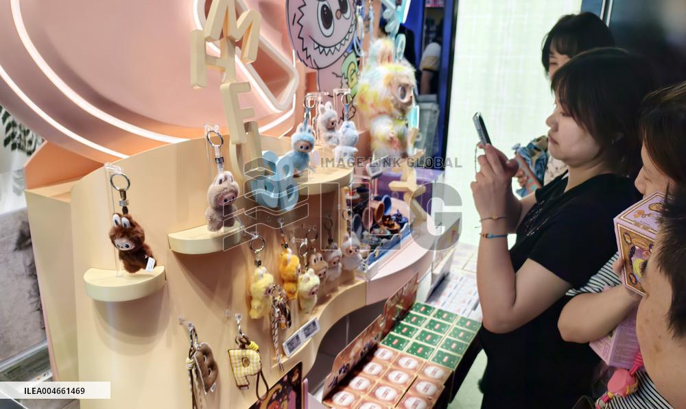 Pop Mart Labubu Popular