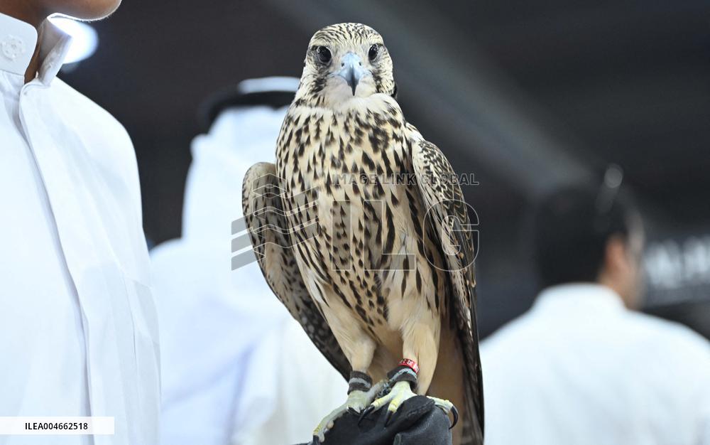Kuwait Falcons Exhibition - Kuwait