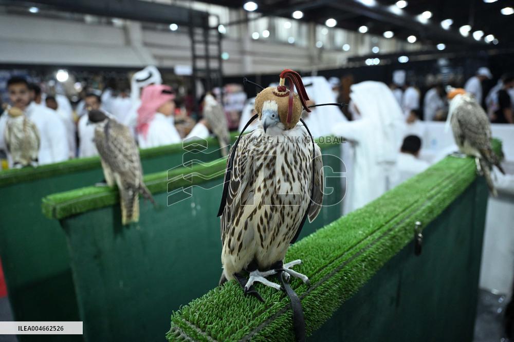 Kuwait Falcons Exhibition - Kuwait