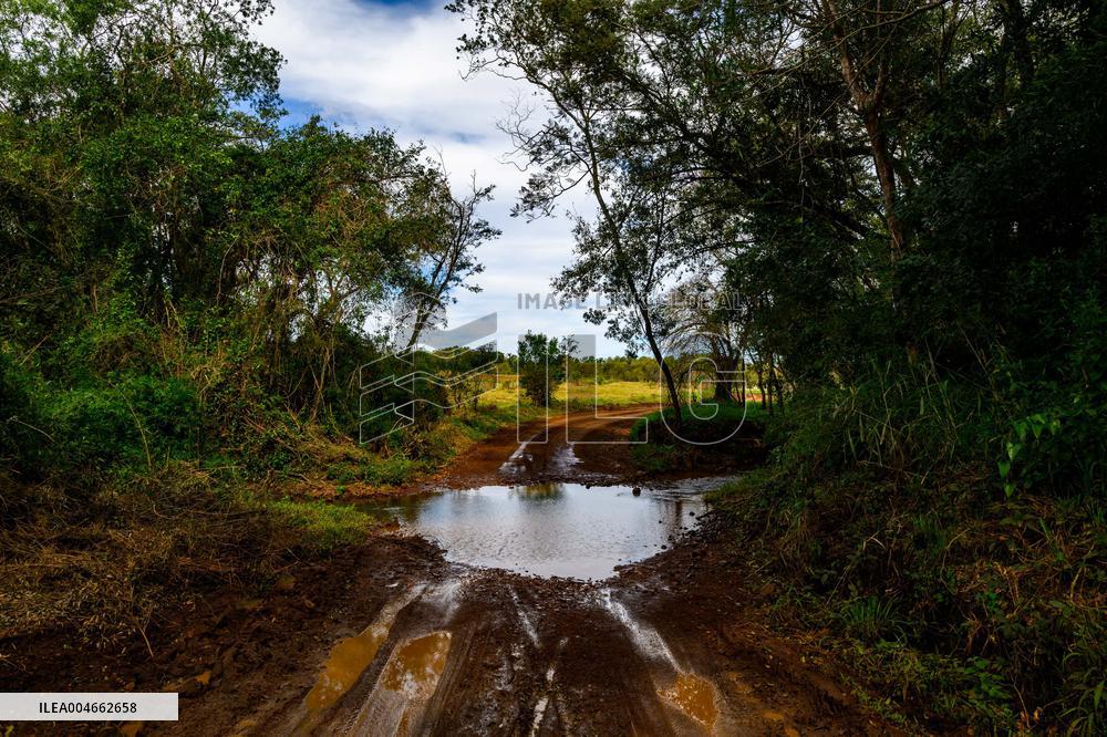 MOTORI - Rally - WRC Rally Paraguay 2025