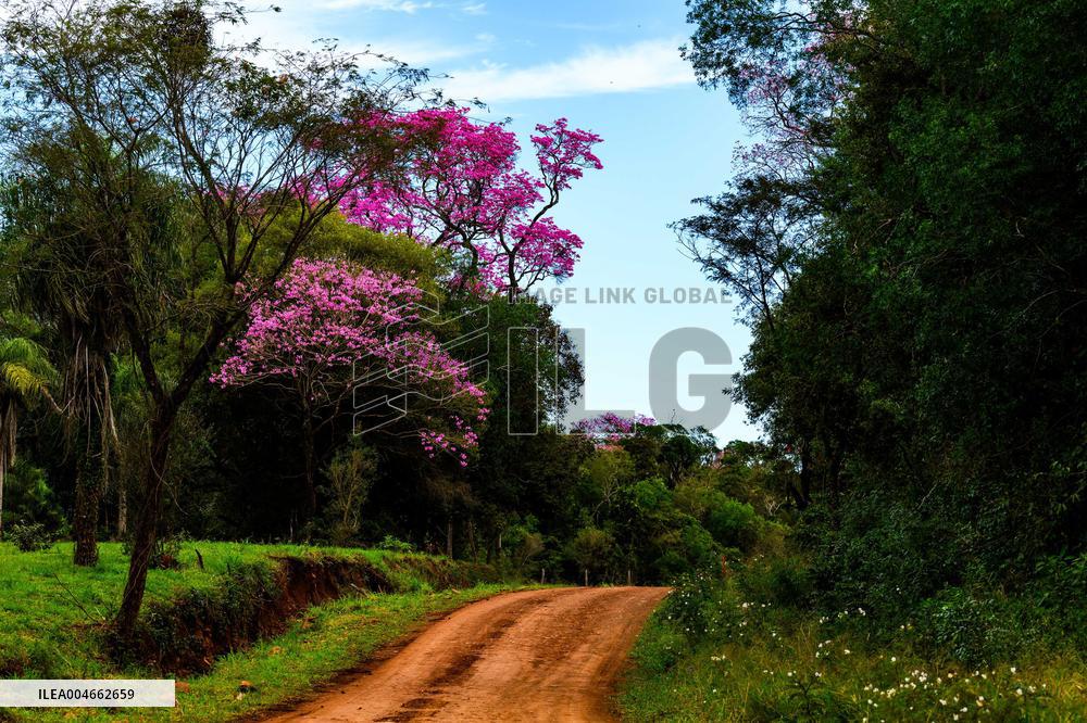 MOTORI - Rally - WRC Rally Paraguay 2025