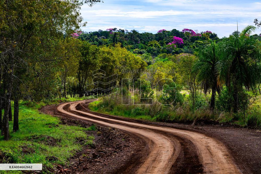 MOTORI - Rally - WRC Rally Paraguay 2025