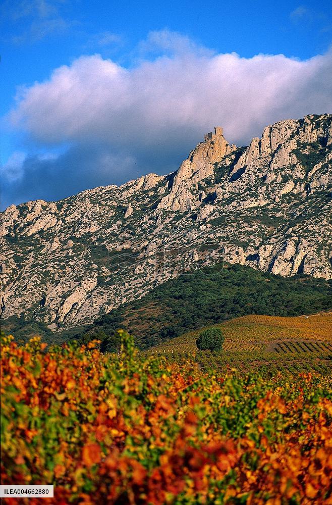 Illustration - Cathar Castles