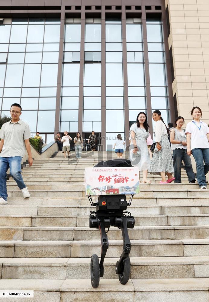 Chongqing Intelligent Engineering Vocational College 2025 Freshmen Report For Duty