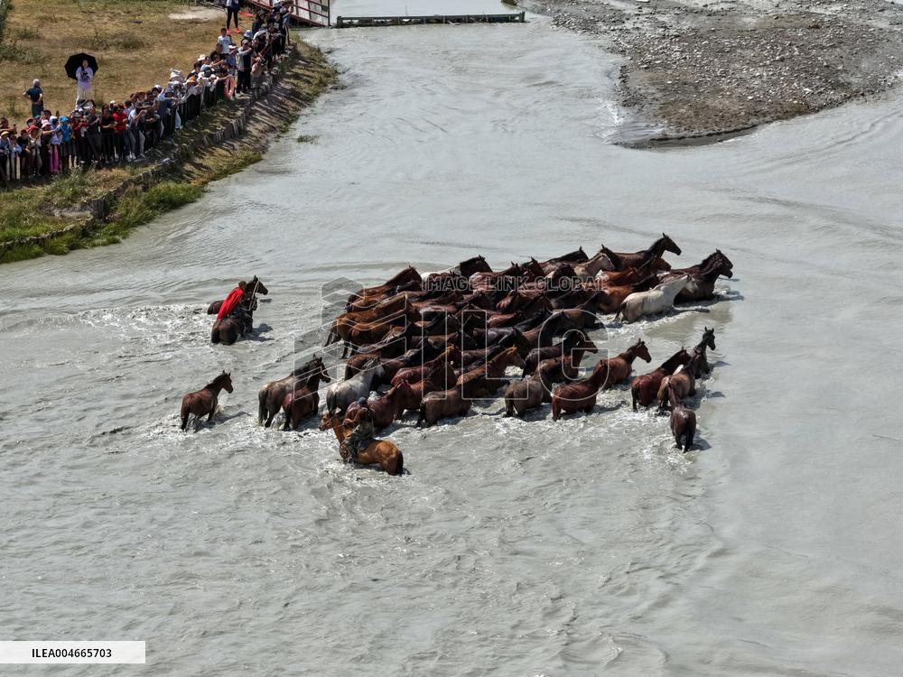 Horses Cross The Tekes River in Zhaosu Wetland Park