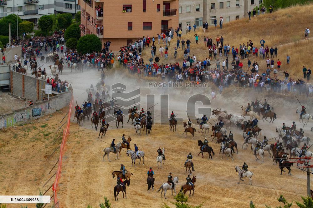 Running of The Bulls of Cuellar 2025 - Spain