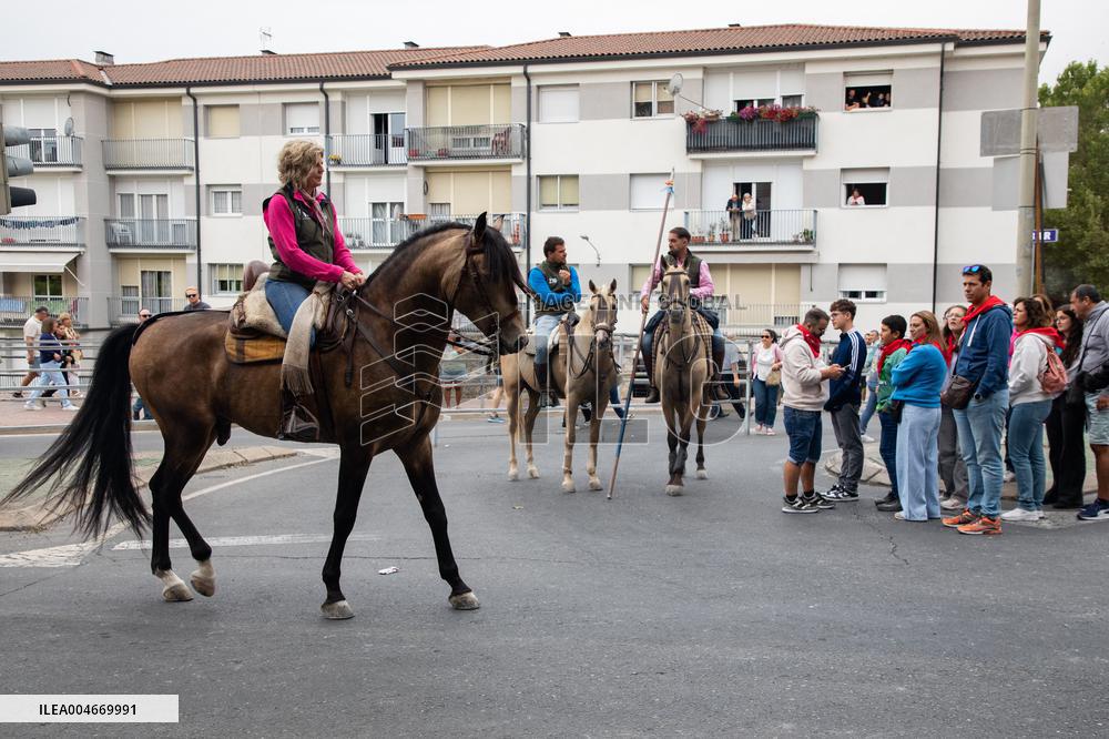 Running of The Bulls of Cuellar 2025 - Spain