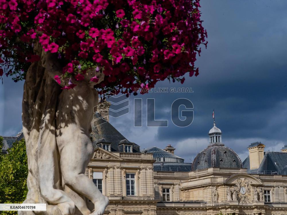 Illustration - The Senate Building - Paris