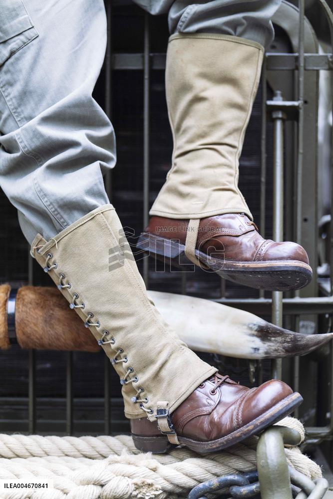 Vintage Vehicle Parade - Perigueux