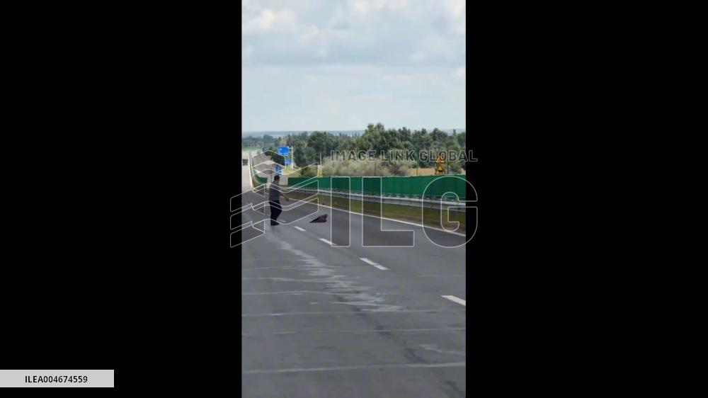 China: Weakened Eagle Collides With Tanker After Rescue Attempt