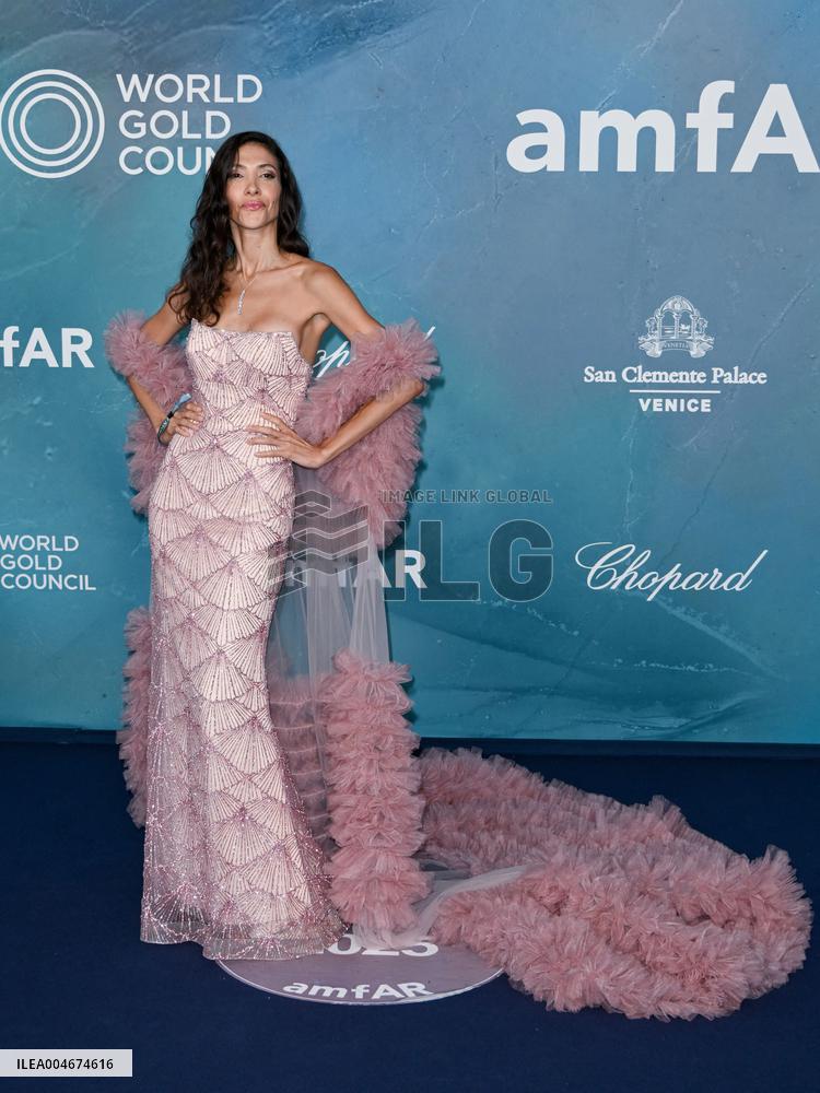 Venice - amFAR