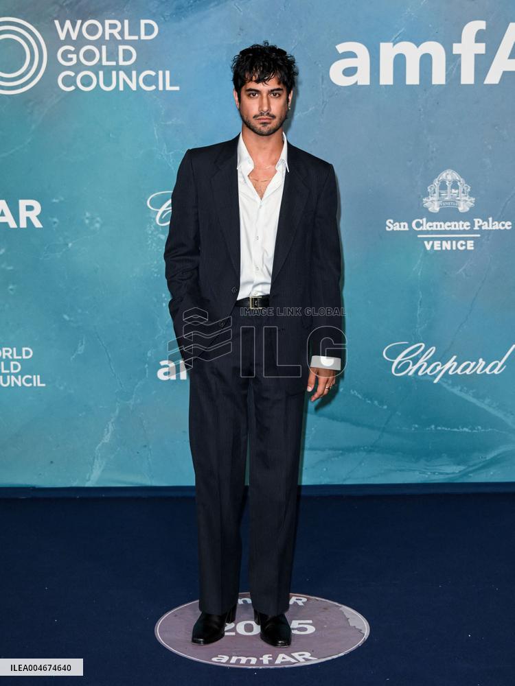 Venice - amFAR