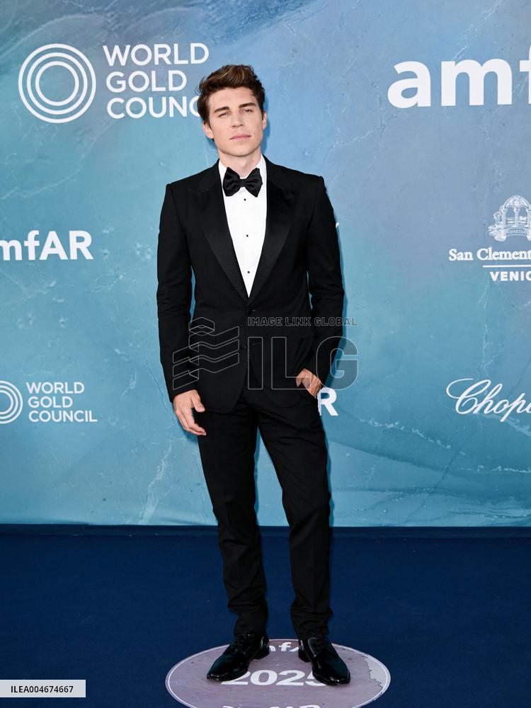 Venice - amFAR