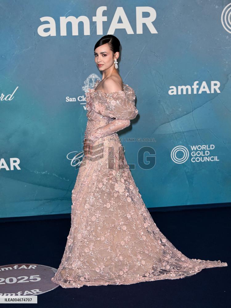 Venice - amFAR