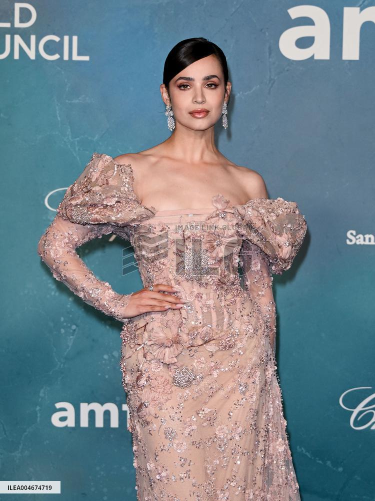 Venice - amFAR