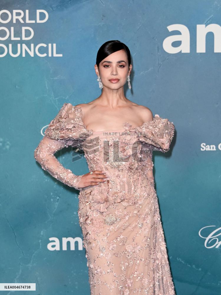 Venice - amFAR