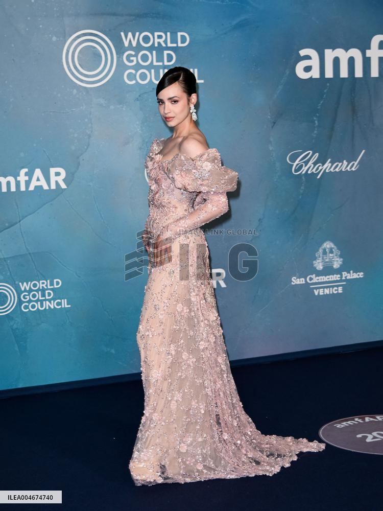 Venice - amFAR