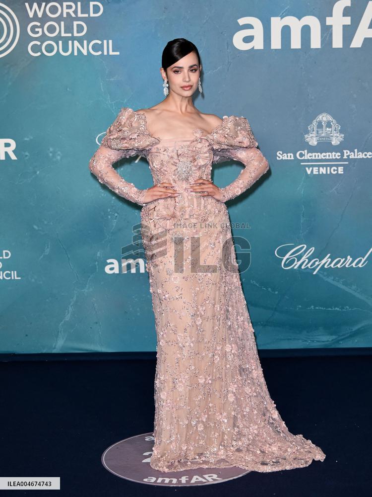 Venice - amFAR