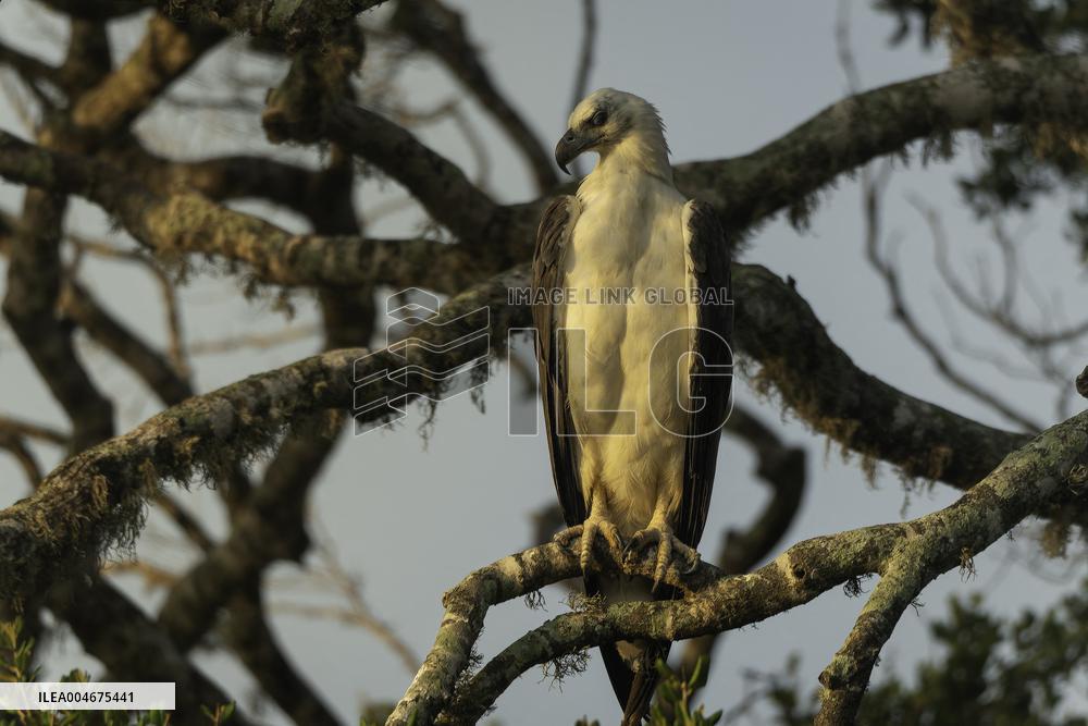 Wildlife And Landscapes - Sri Lanka