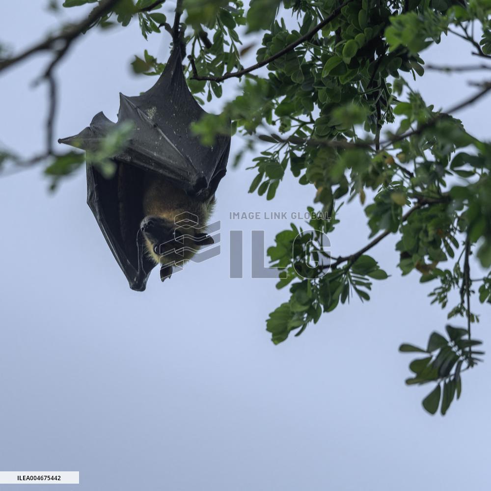 Wildlife And Landscapes - Sri Lanka
