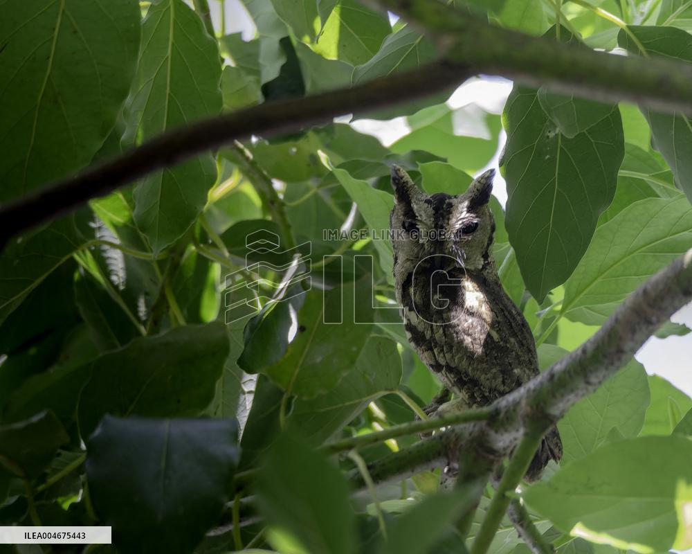 Wildlife And Landscapes - Sri Lanka