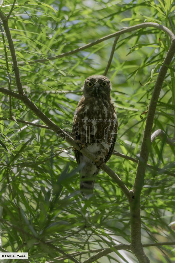 Wildlife And Landscapes - Sri Lanka