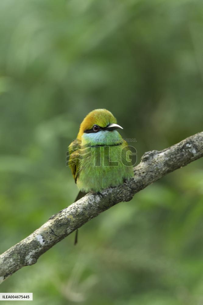 Wildlife And Landscapes - Sri Lanka