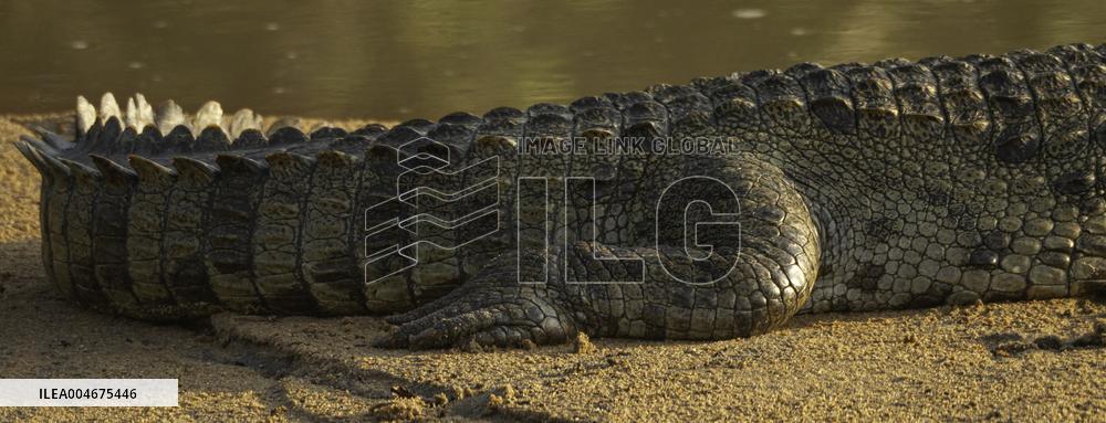 Wildlife And Landscapes - Sri Lanka
