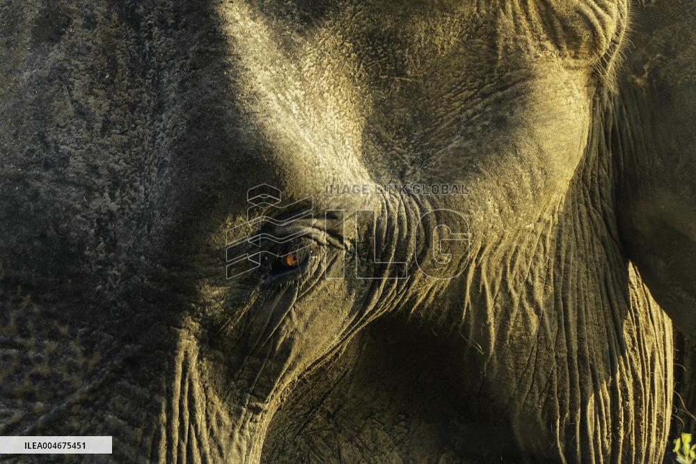 Wildlife And Landscapes - Sri Lanka