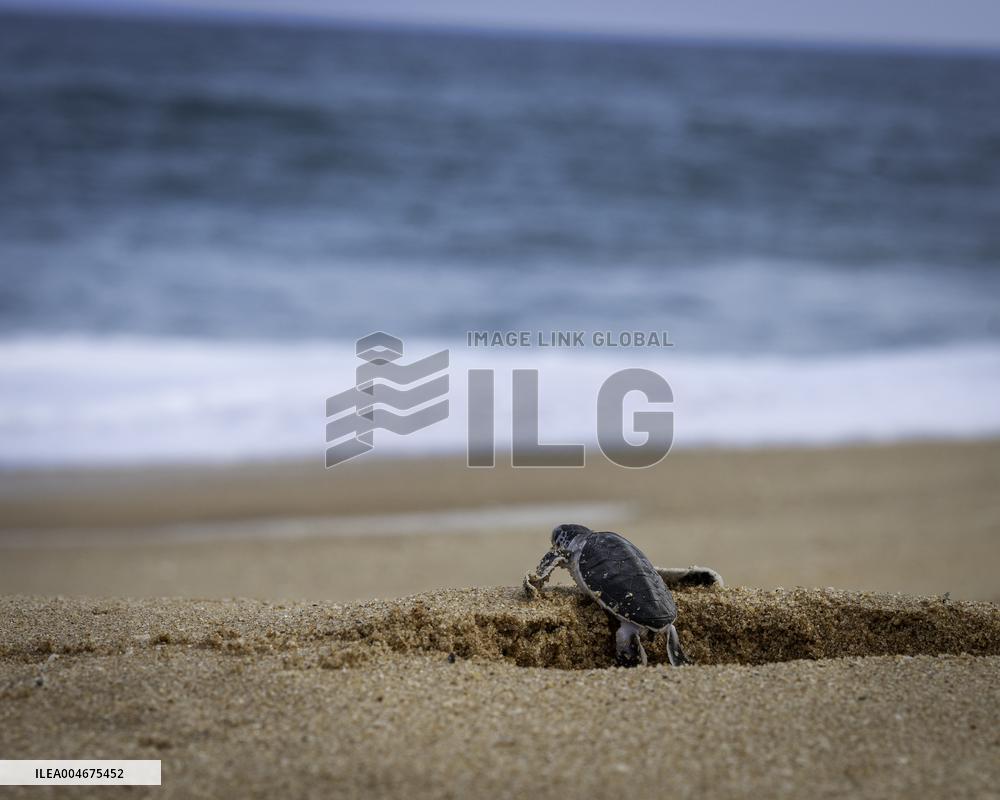 Wildlife And Landscapes - Sri Lanka