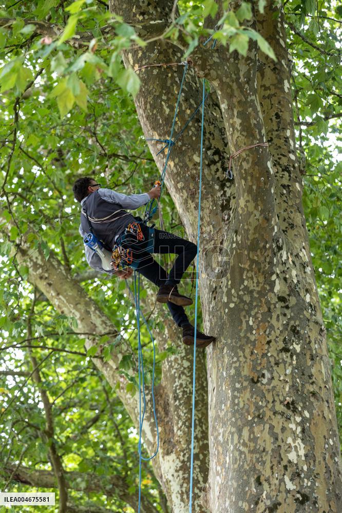 La Foret Des Livres 2025 - Chanceaux-pres-Loches
