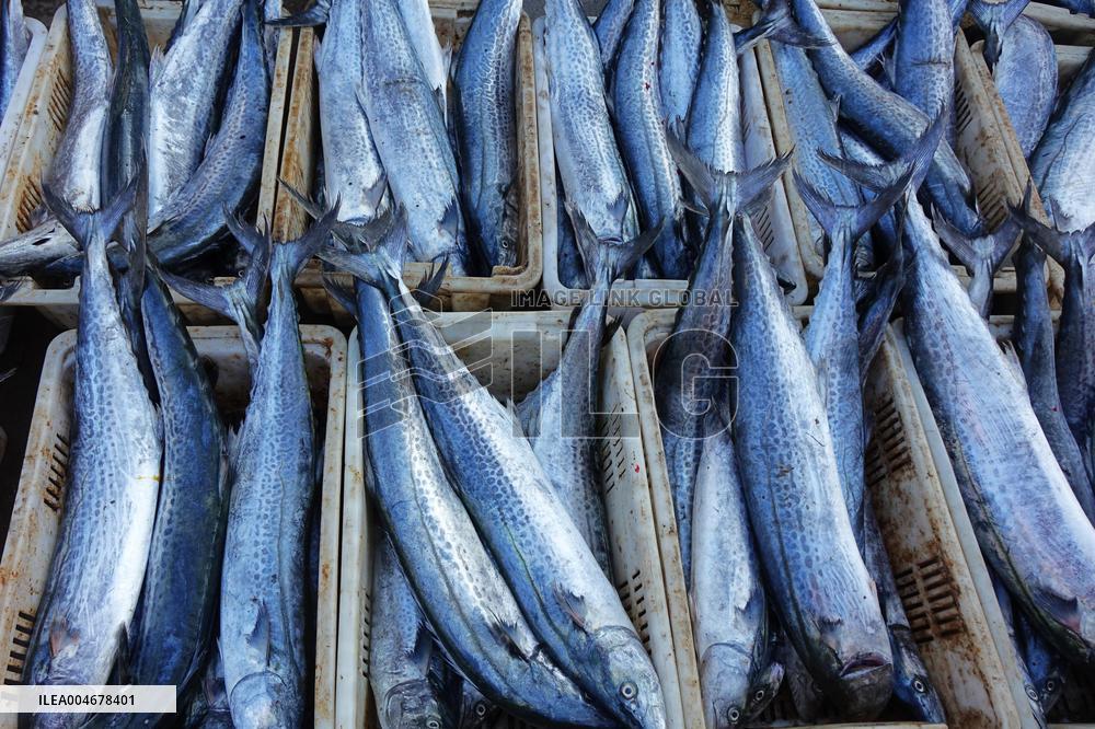 The First Batch of Seafood