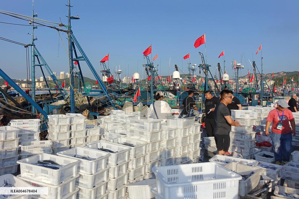 The First Batch of Seafood