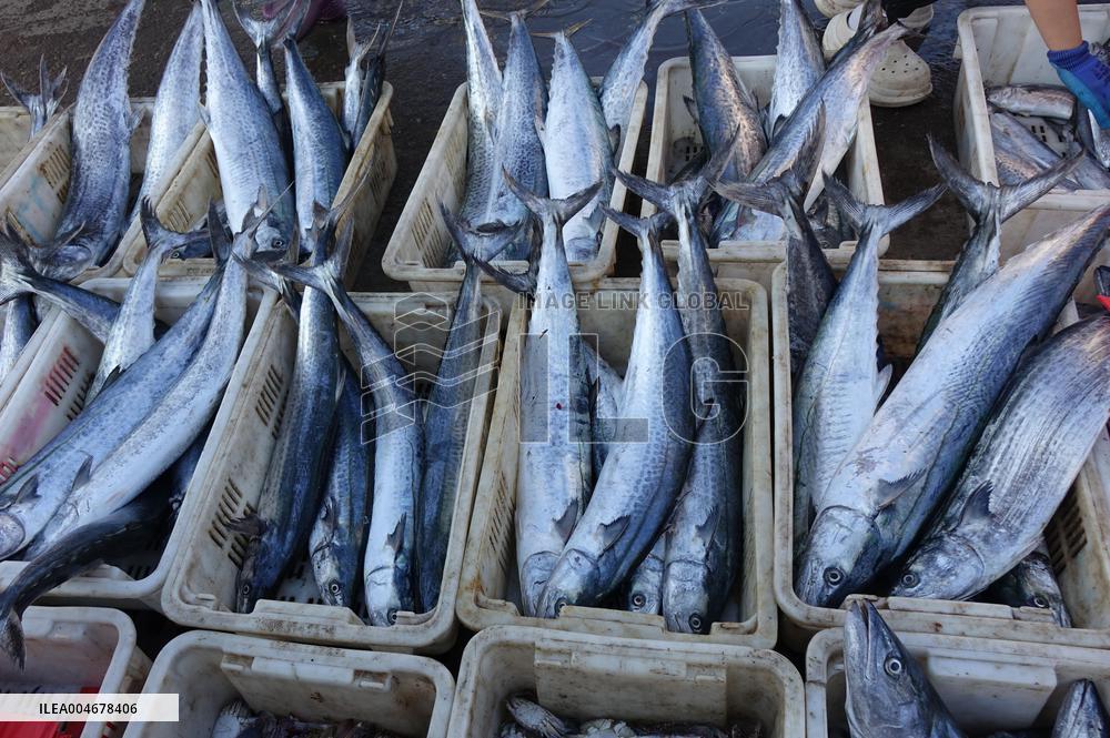 The First Batch of Seafood