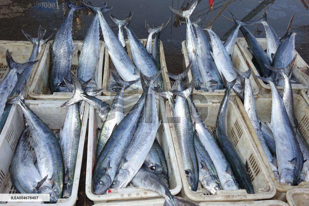 The First Batch of Seafood