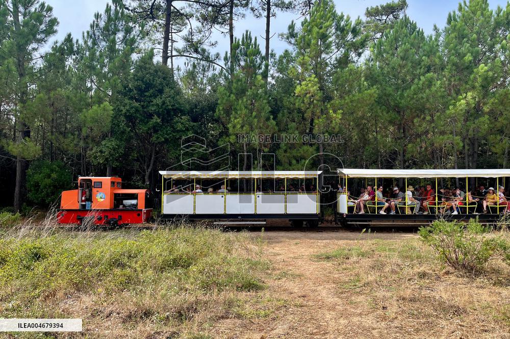 Illustration - Oleron Island