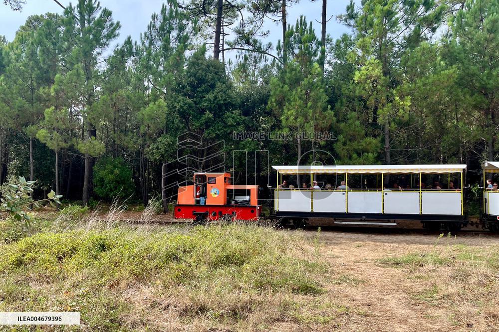 Illustration - Oleron Island