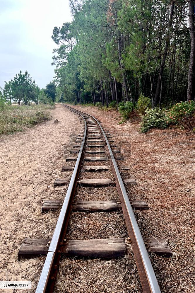 Illustration - Oleron Island
