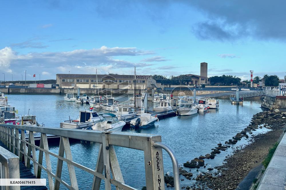 Illustration - Oleron Island