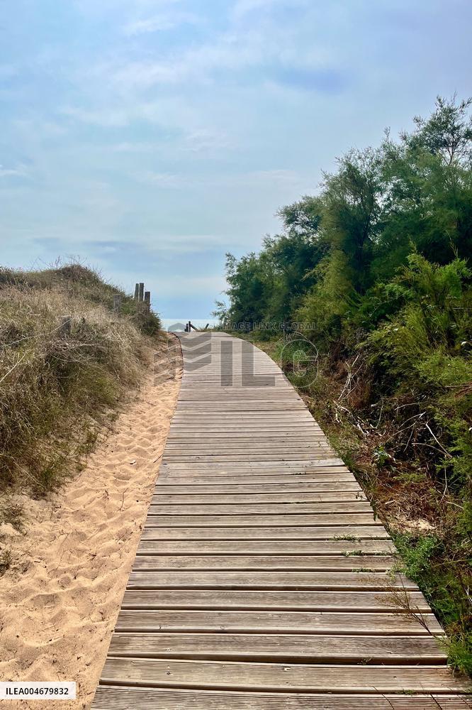 Illustration - Oleron Island