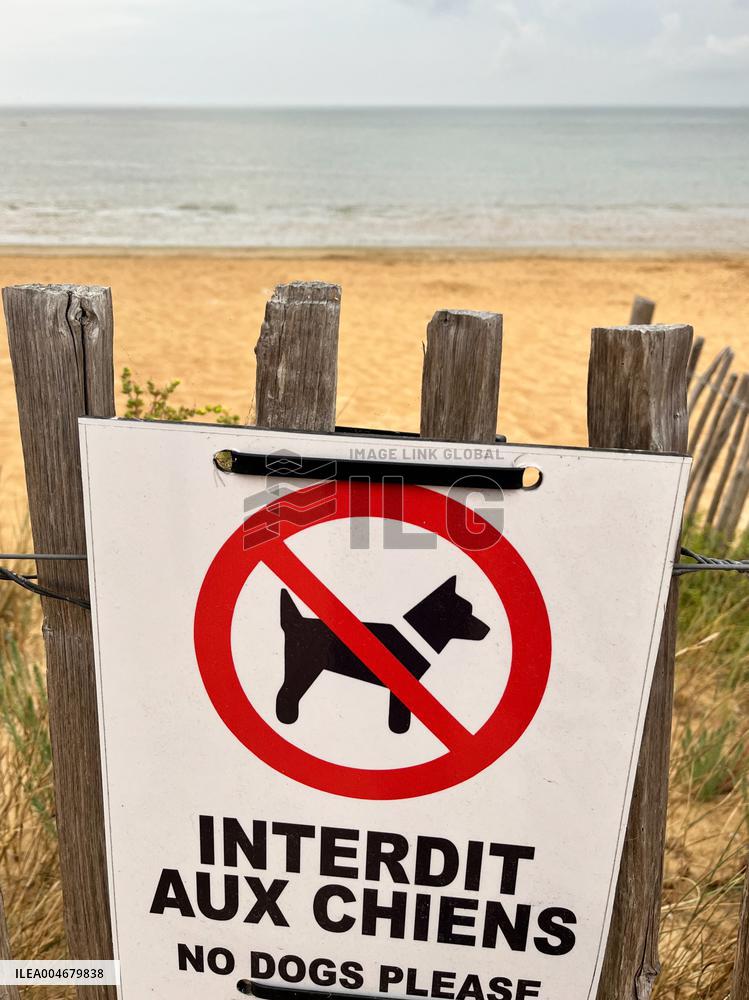 Illustration - Oleron Island