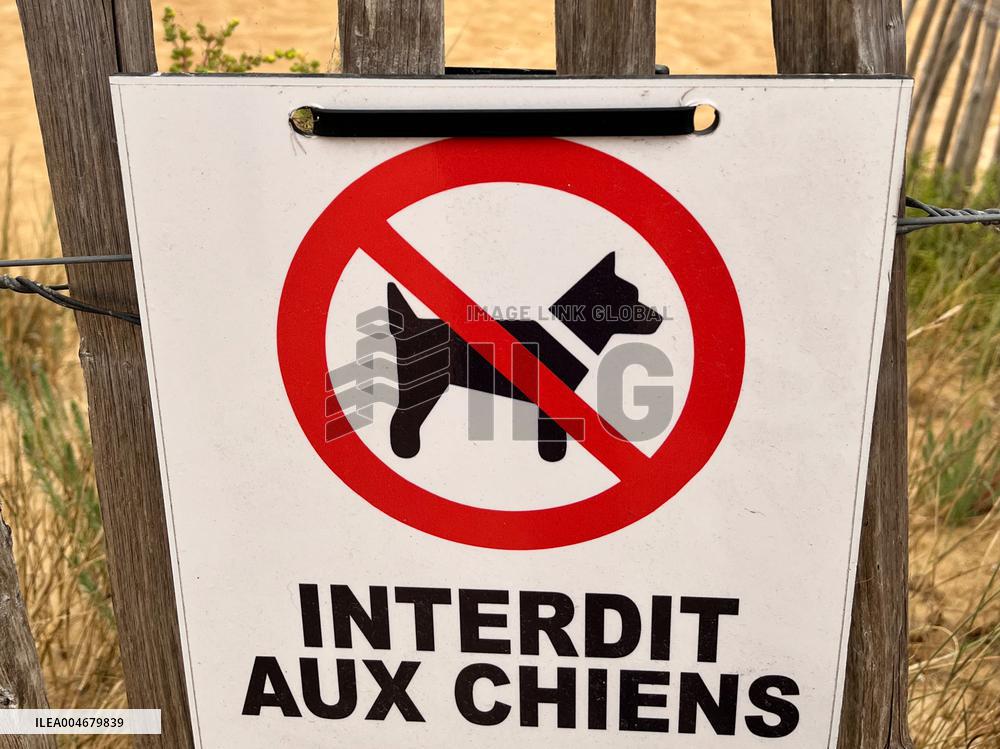 Illustration - Oleron Island