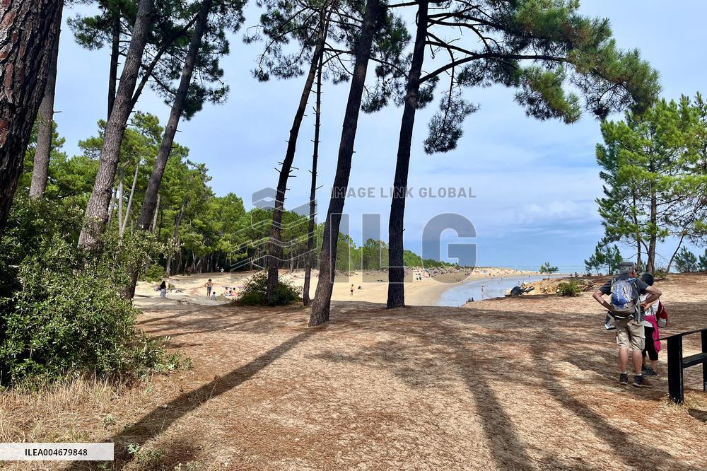 Illustration - Oleron Island