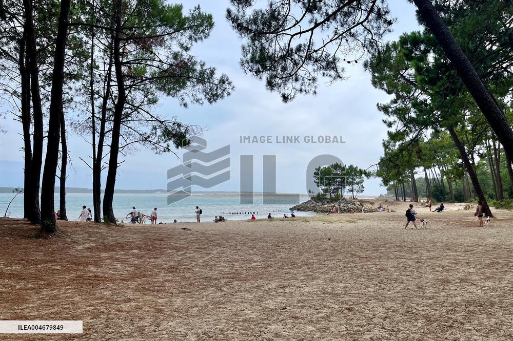 Illustration - Oleron Island