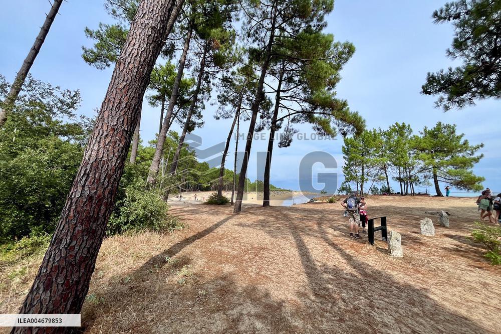 Illustration - Oleron Island