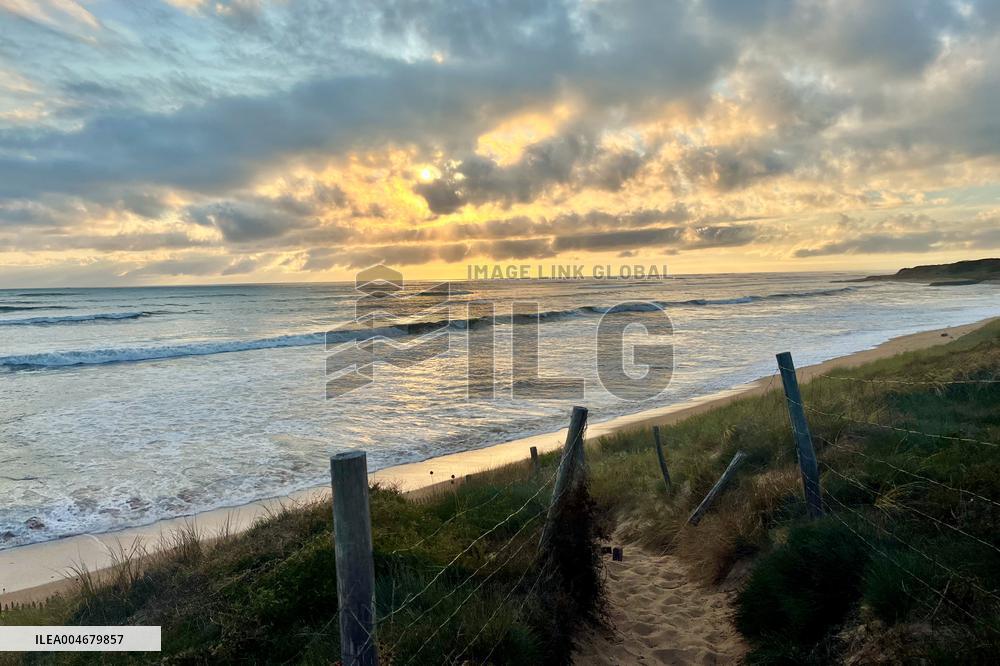 Illustration - Oleron Island